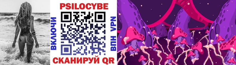 Галлюциногенные грибы Psilocybine cubensis  Менделеевск 